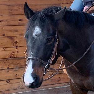 Meet your Posher, Talia